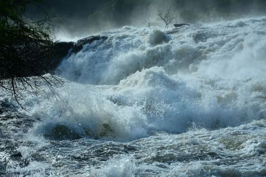 Nile rapids at Murchison Falls National Park, Uganda